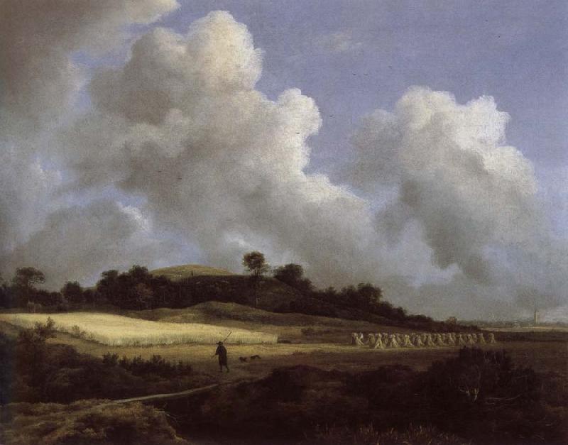 Jacob van Ruisdael View of Grainfields with a Distant town Sweden oil painting art